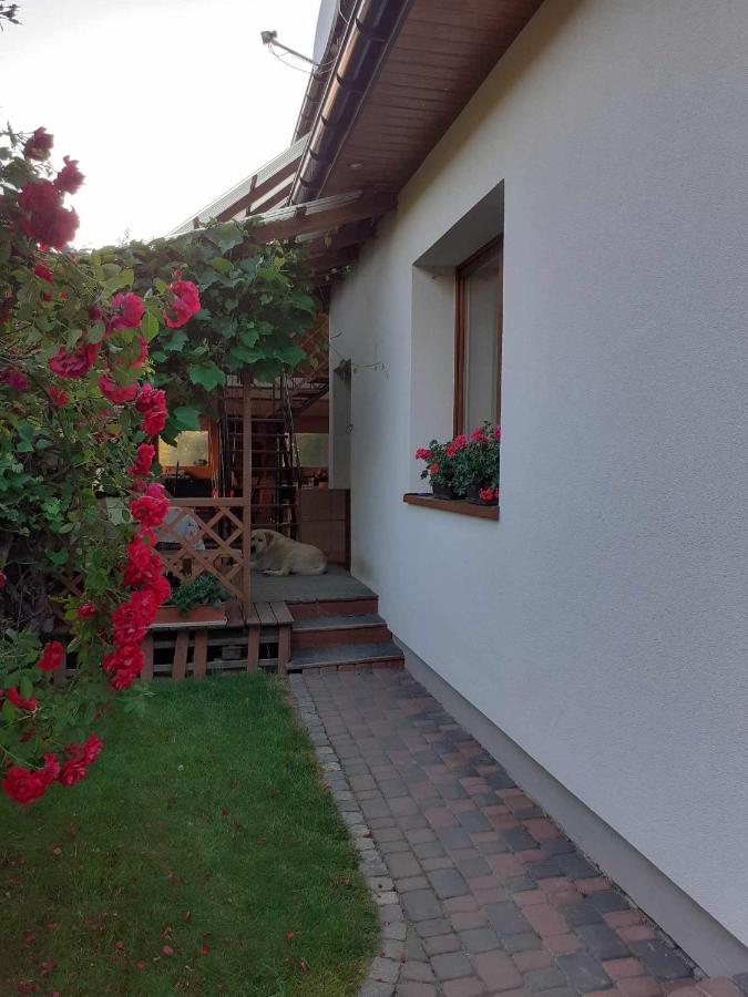 Agroturystyka Jagodowa Roza - Maria Farganus Mszana Dolna Extérieur photo