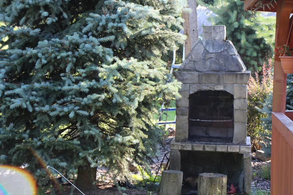 Agroturystyka Jagodowa Roza - Maria Farganus Mszana Dolna Extérieur photo
